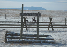 meadows ranch